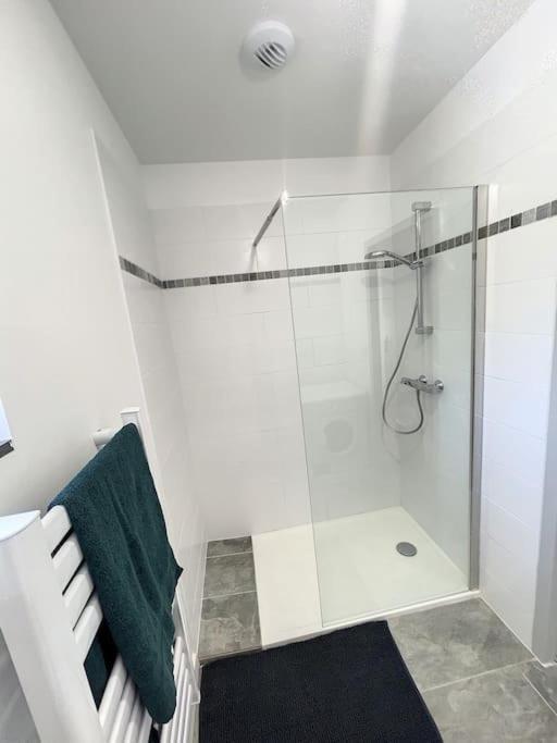Apartament La Metairie Du Chateau - Sublime T3 Villefranche-de-Lauragais Zewnętrze zdjęcie